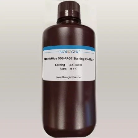 Biologix-Regent-Blinkblu-Protein-Stain-Buffer-Just-10-Minutes-Regent Biologix-Regent-Blinkblu-Protein-Stain-Buffer-Just-10-Minutes-Regent