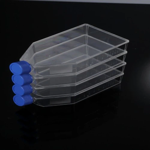 Cell Culture Flasks
