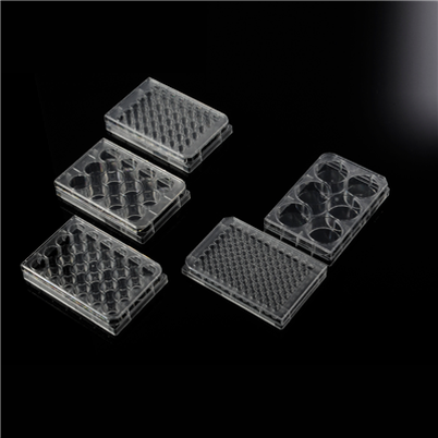 6well 12 Well 24 Well 48 Well 96 Bem Tissue Cell Culture Plates