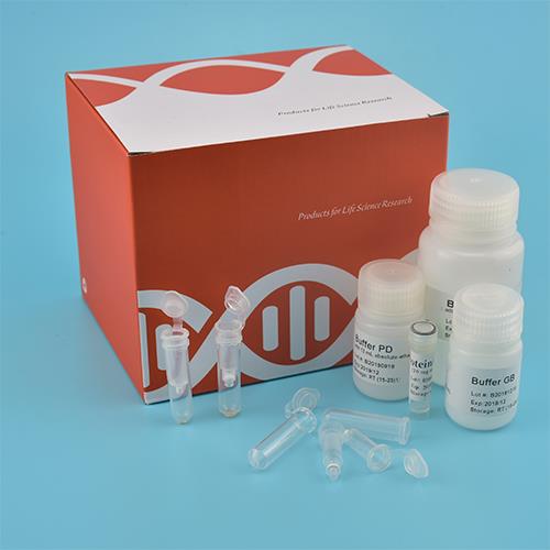 Kit de DNA genômico no sangue (coluna de rotação)