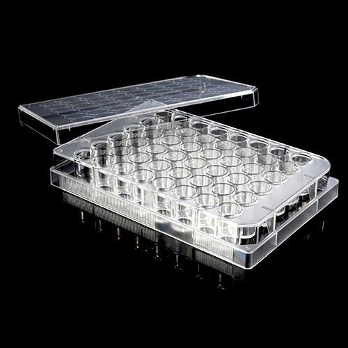6-well 12-well 24-well 48-well 96-well Laboratory PlasticCell Culture Plates