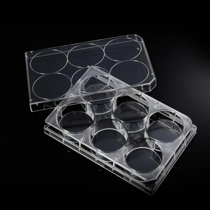China Supplier 6/12/24/48/96 Wells Cell Culture Plates