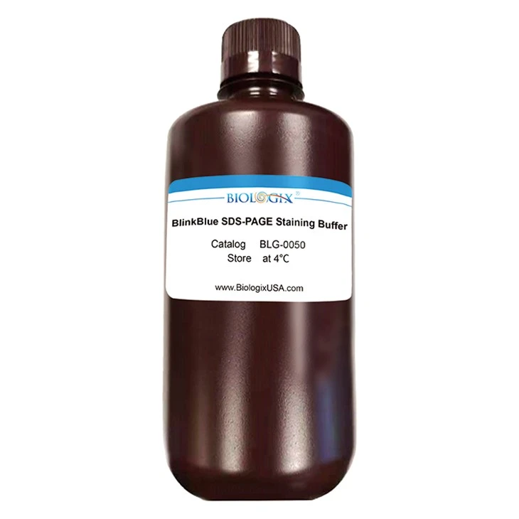 Protein Stain Buffer Just 10 Minutes:Biologix Blinkblue™