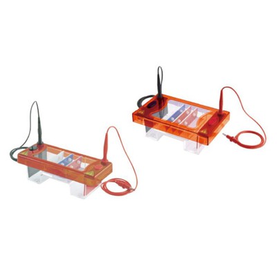 Máquinas de Eletroforese Fornecedor Fábrica 丨 Biologix