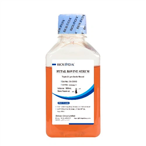 Soro Fetal Bovino Extra Grau