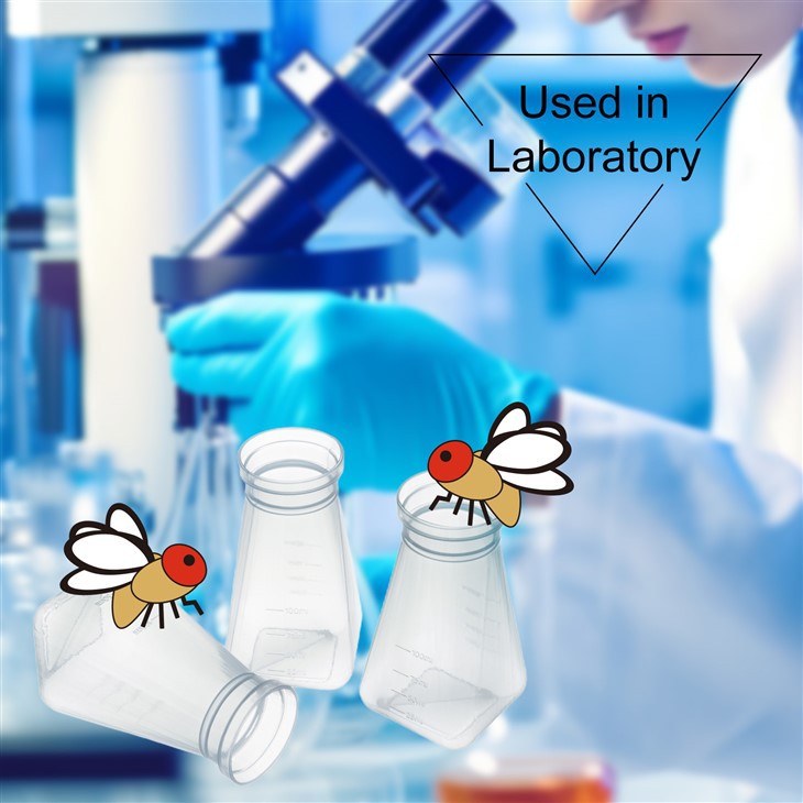 PP Autoclavable Drosophila Bottles The Square-bottom Is Also Transparent And Features A Firm, Stiff Neck For Easier